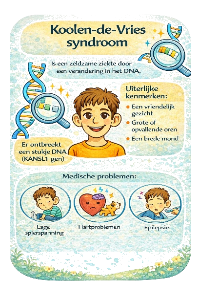 Illustratie met overzicht van het Koolen-de Vries syndroom